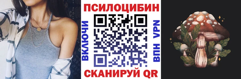 shop клад  Гдов  Псилоцибиновые грибы GOLDEN TEACHER 